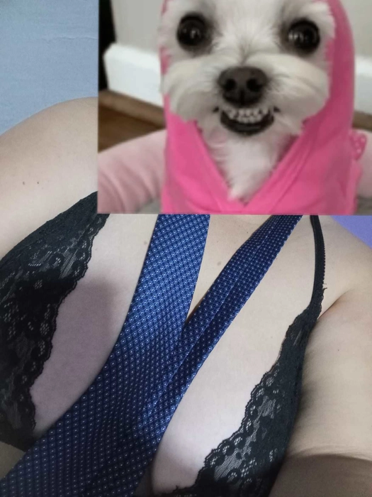 Foto galeria 1 de Dalia Tu Gordita - Puta y chica prepaga independiente Ciudad del Este - Alto Paraná